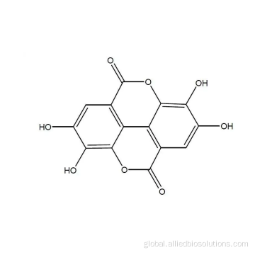 Organic Gallnut Extract dimeric derivative of gallic acid Ellagic acid Manufactory